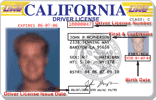 State Driver's License