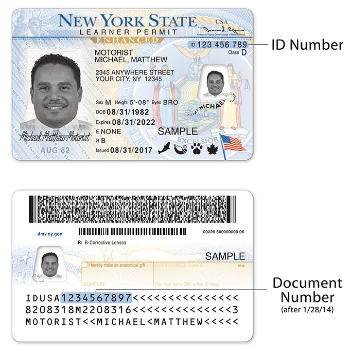 Us Passport Vs Enhanced Driver S License Rush My Passport